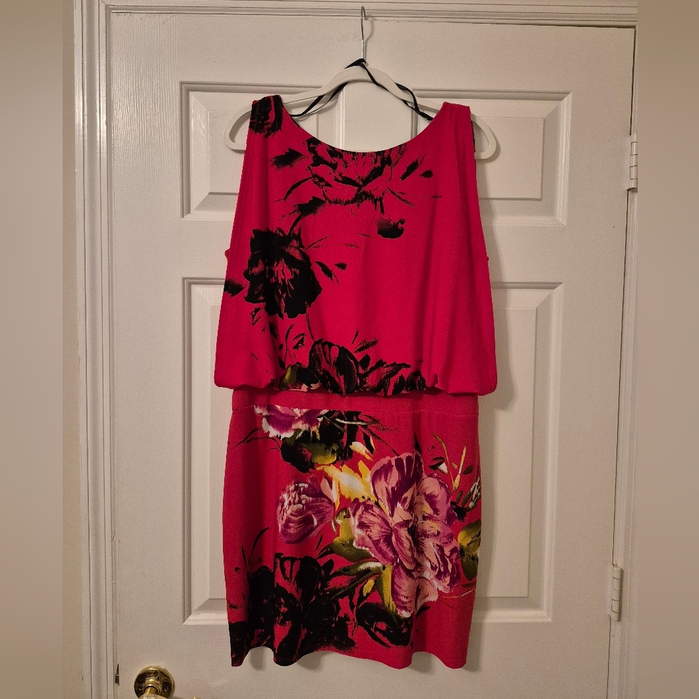 Sandra Darren Red and Black Floral Dress